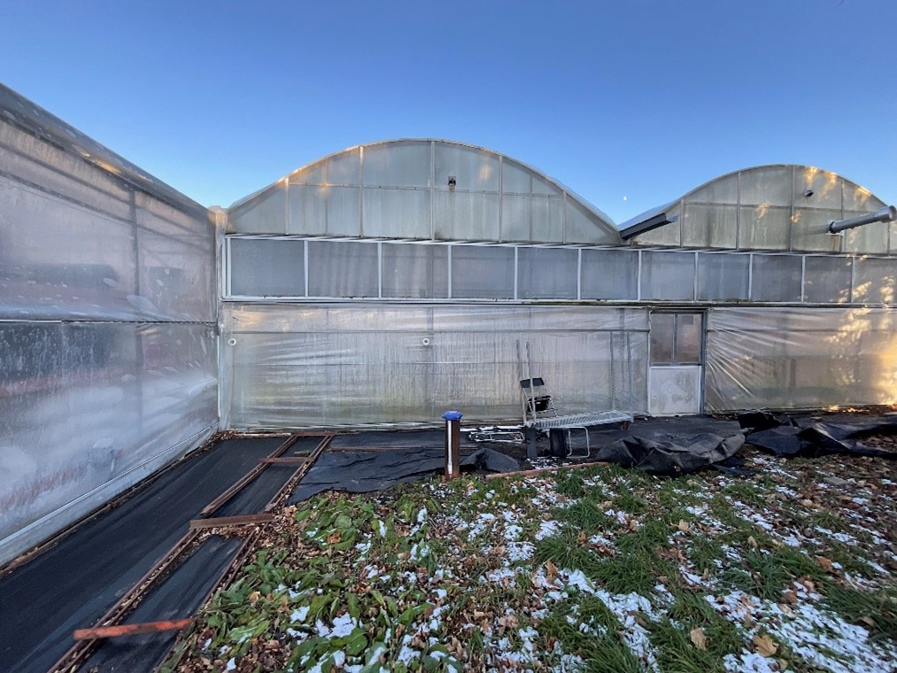 Exterior of one greenhouse bay during the site survey